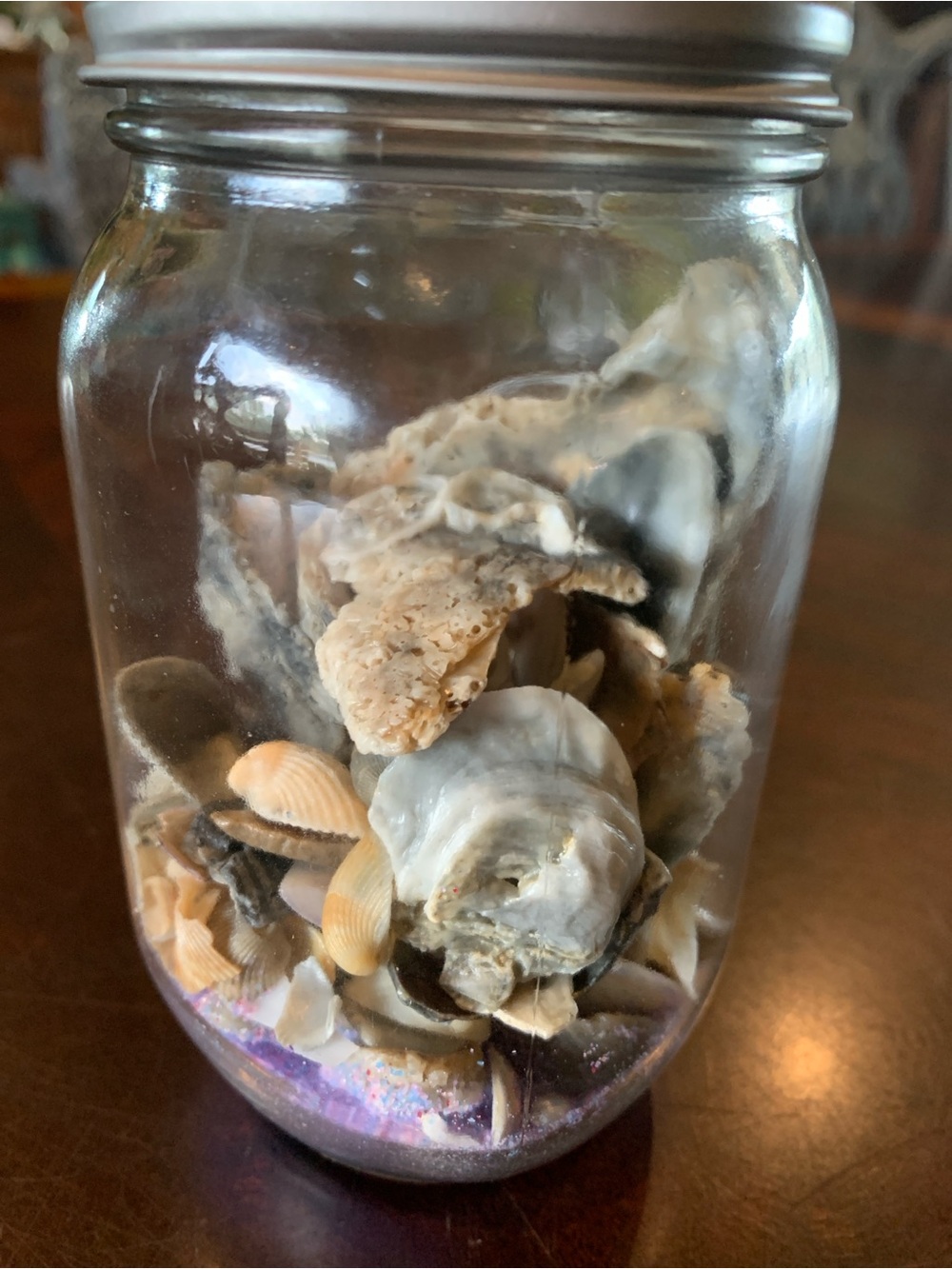 Natural Seashell Mix in Clear Glass Jar.